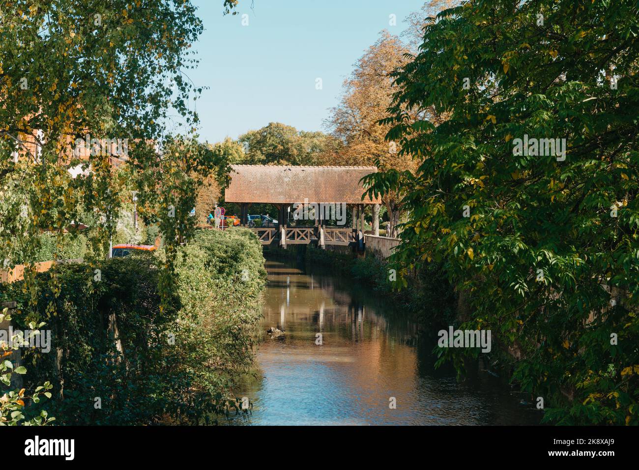 Un ponte di legno nel parco con e colori autunnali di Bietigheim-Bissingen, Germania. Europa. Paesaggio autunnale in natura. Colori autunnali nella foresta Foto Stock
