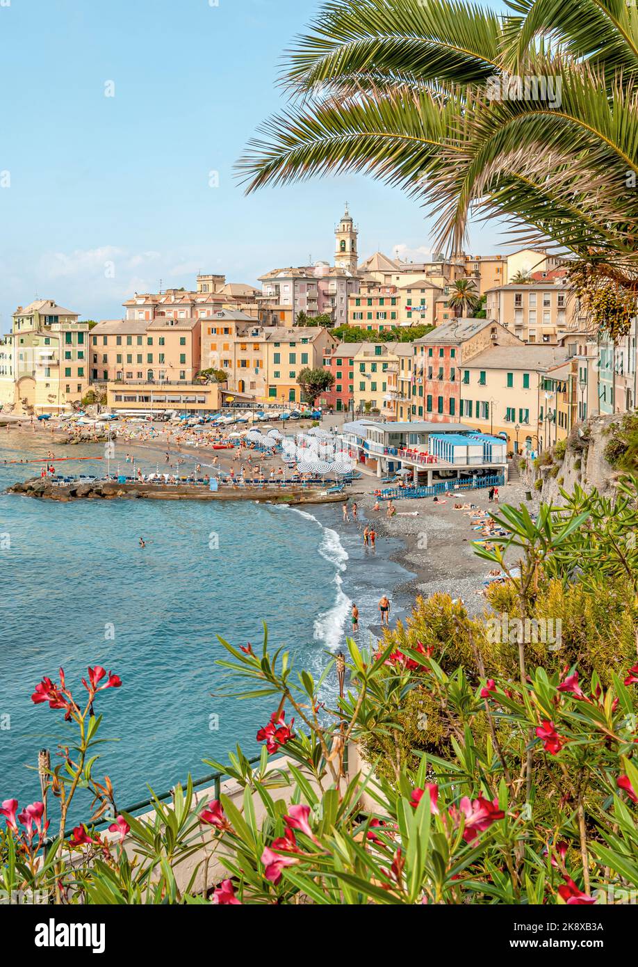 Vista panoramica a Bogliasco, Rivera di Levante Liguria, Italia Foto Stock