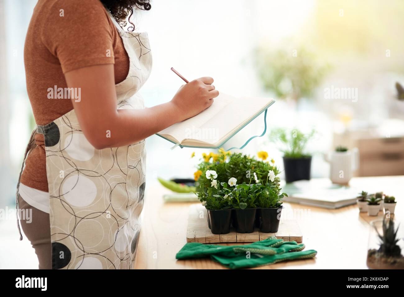 Tiene le schede su tutte le sue piante. Una giovane botanica femminile irriconoscibile che fa le note mentre lavora nel suo fiorista. Foto Stock