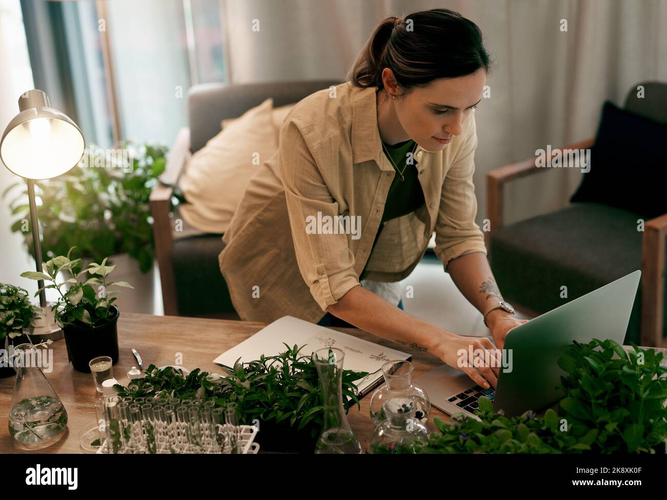 Avete sempre delle ricerche da fare in questo campo. Un giovane e attraente botanico che fa delle ricerche sul suo laptop all'interno del suo ufficio. Foto Stock