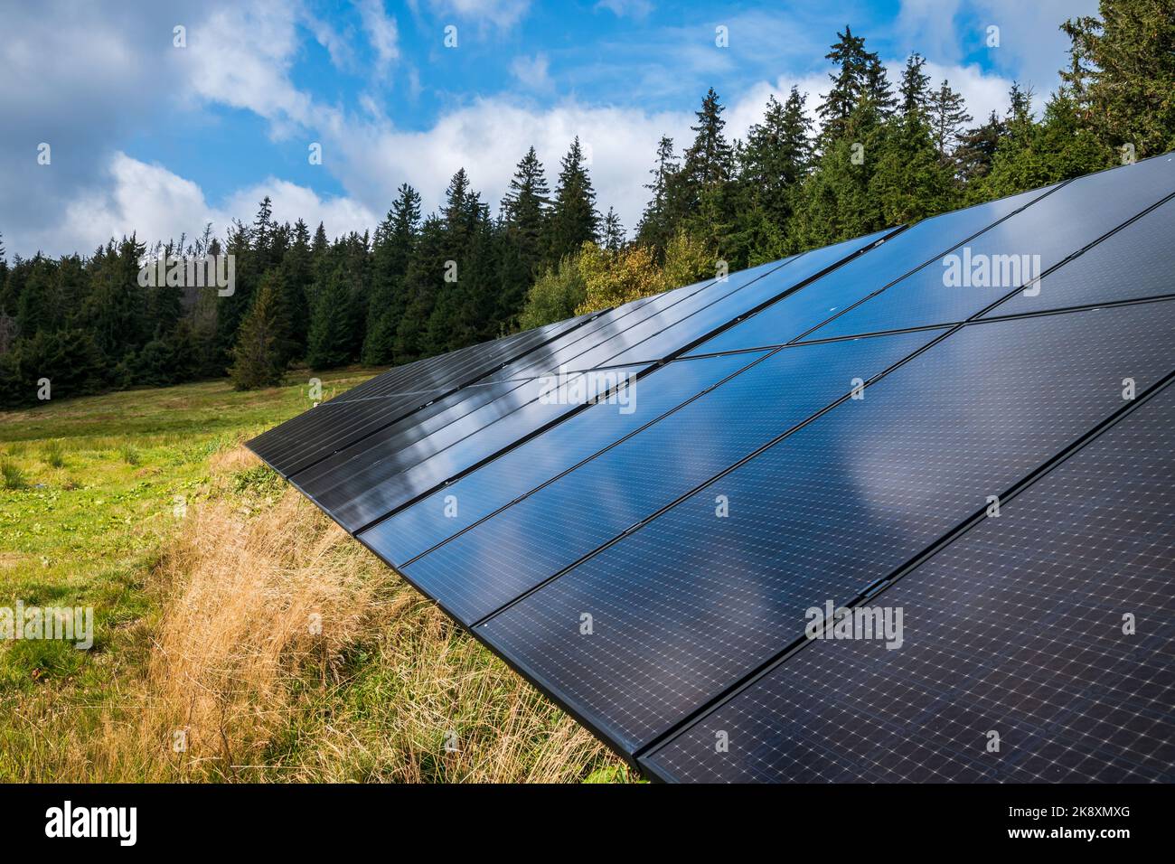 Pannelli fotovoltaici montati in un prato di montagna vicino alla foresta. Fonte di energia rinnovabile Foto Stock