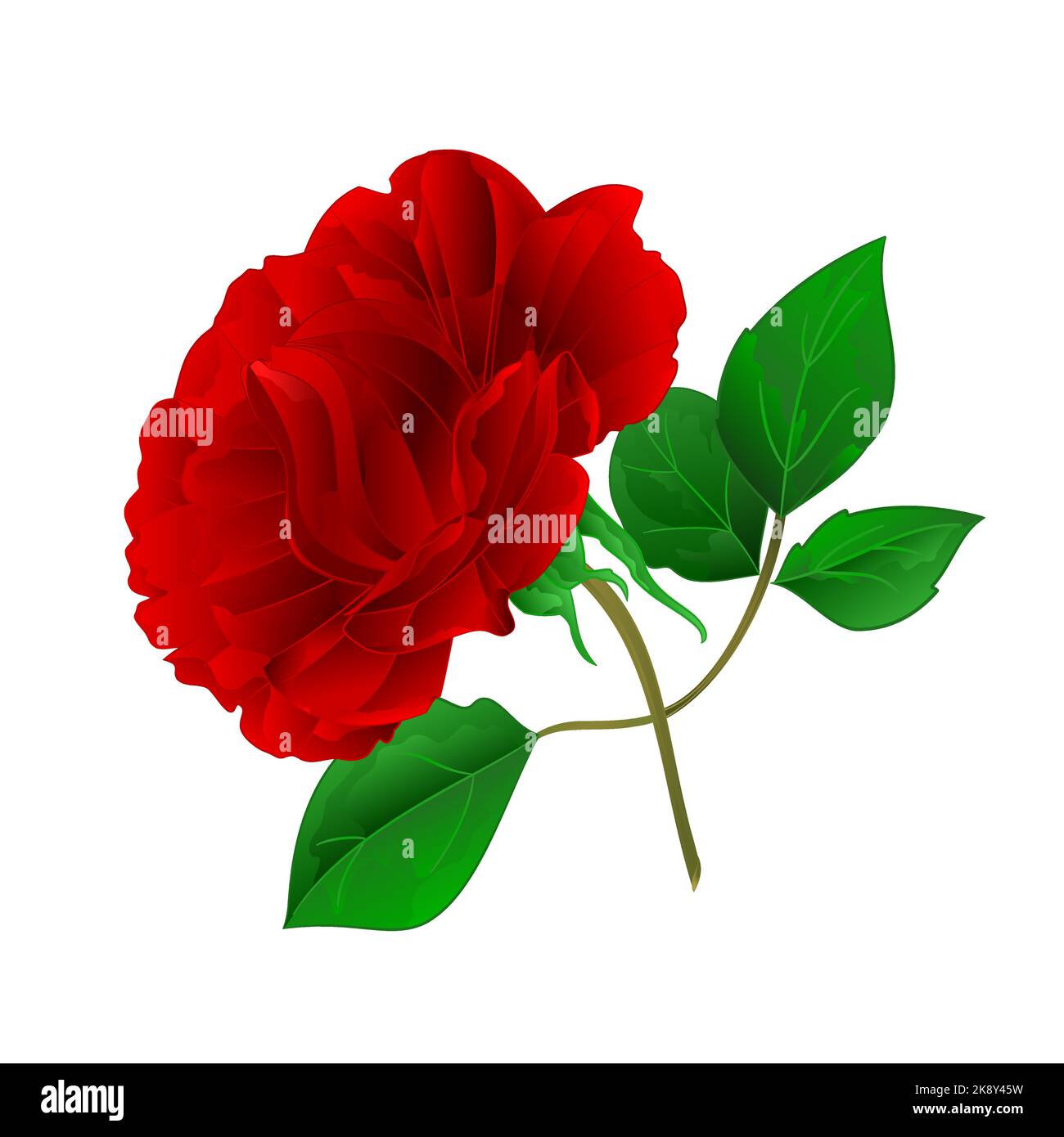 Rosa gambo viola e foglie vintage vettore illustrazione modificabile per disegno mano Illustrazione Vettoriale