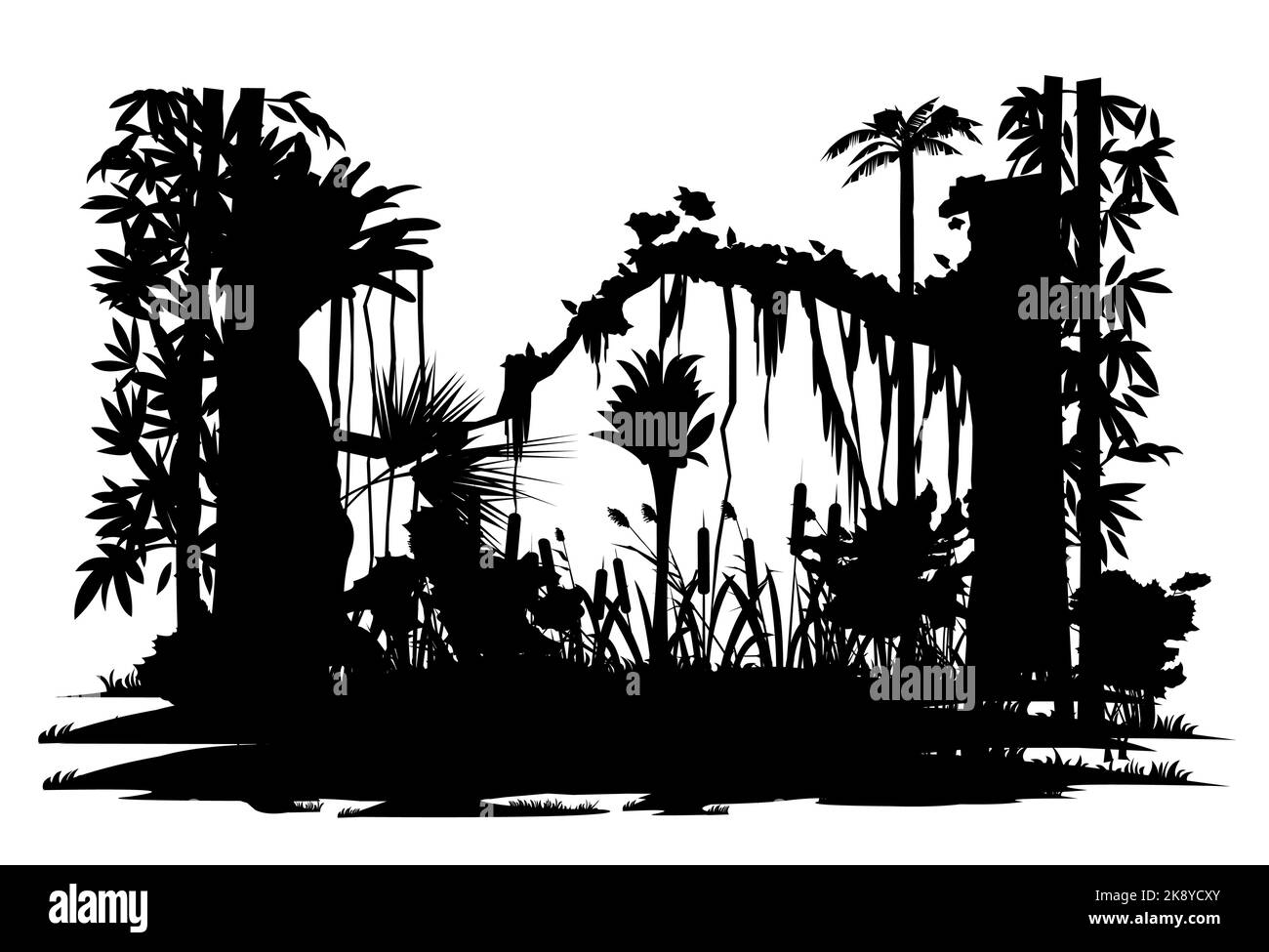 Palude e alberi. Giungla foresta pluviale. Natura paesaggio silhouette. Fitti ispessimenti tropicali. Isolato su sfondo bianco. Vettore Illustrazione Vettoriale