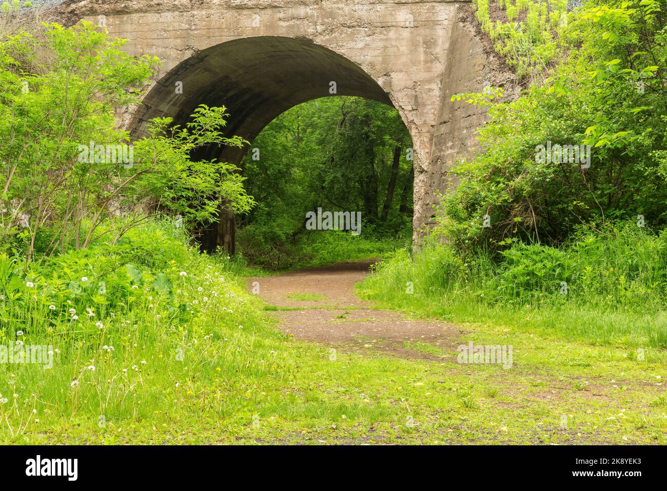 Un sentiero che passa attraverso un ponte ad arco nel bosco. Foto Stock