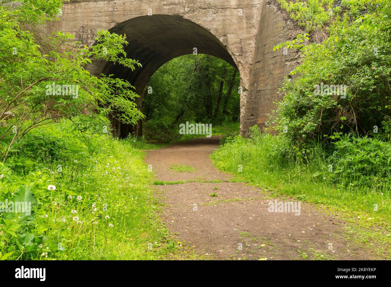 Un sentiero che passa attraverso un ponte ad arco nel bosco. Foto Stock