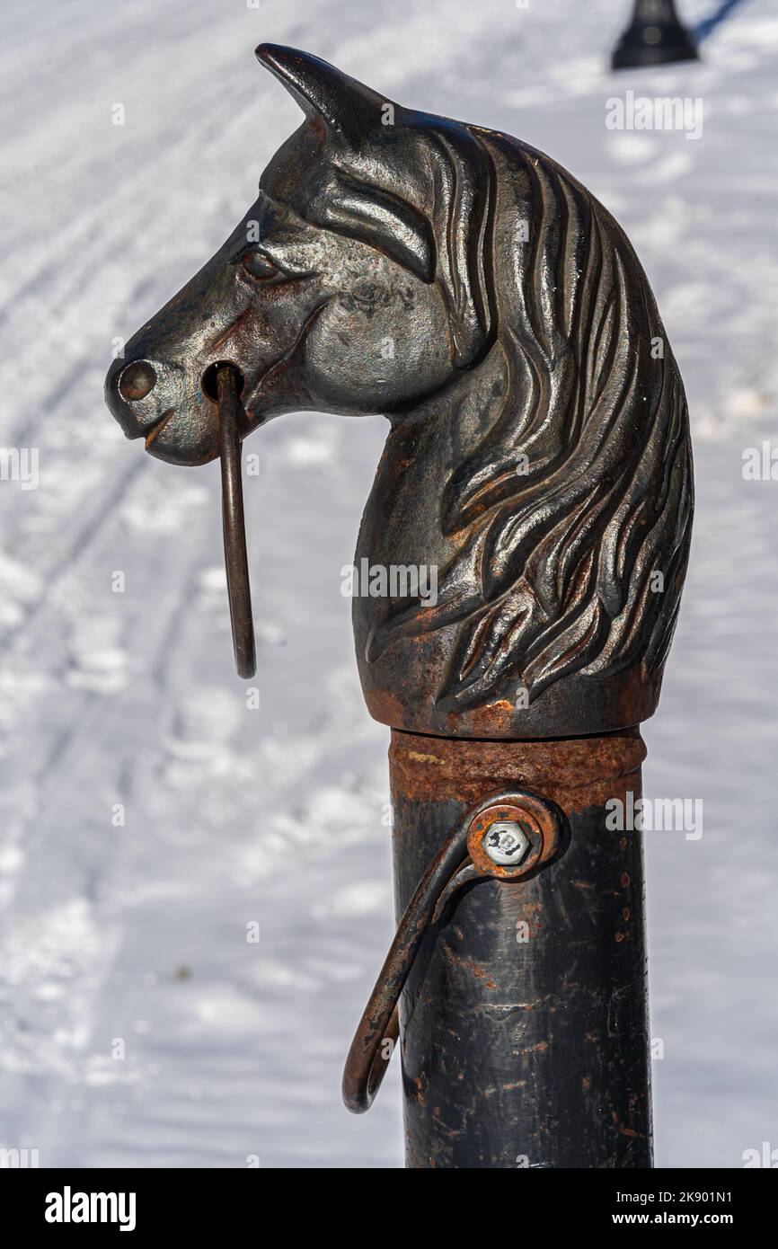 Una testa di cavallo di ferro con un anello di aggancio attraverso il naso Foto Stock