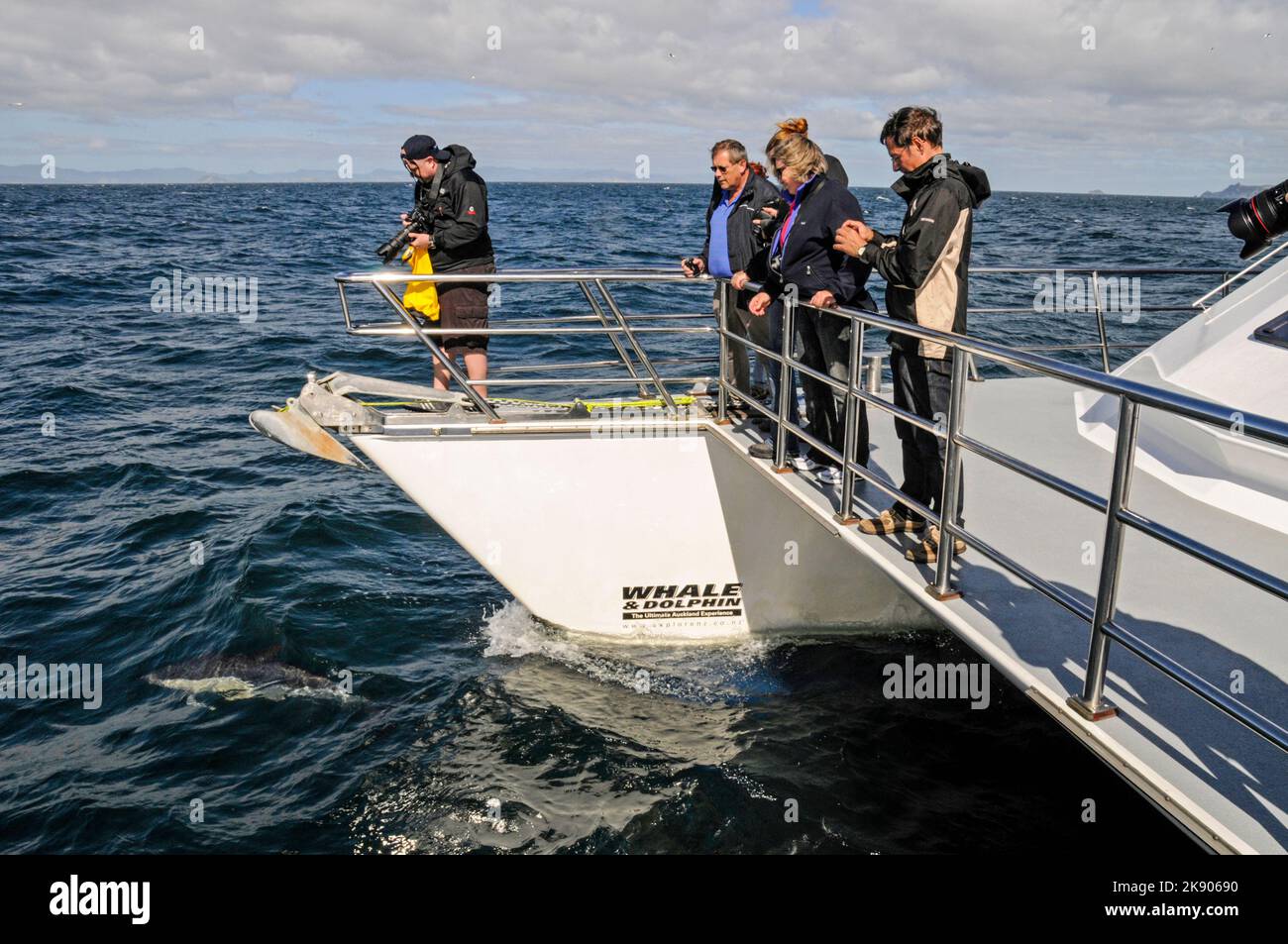Un gruppo di turisti sul ponte di una nave 'Whale & Dolphin', guardando 'Common Dolphins' vicino alla barca nel Golfo di Hauraki vicino Auckland sul No Foto Stock