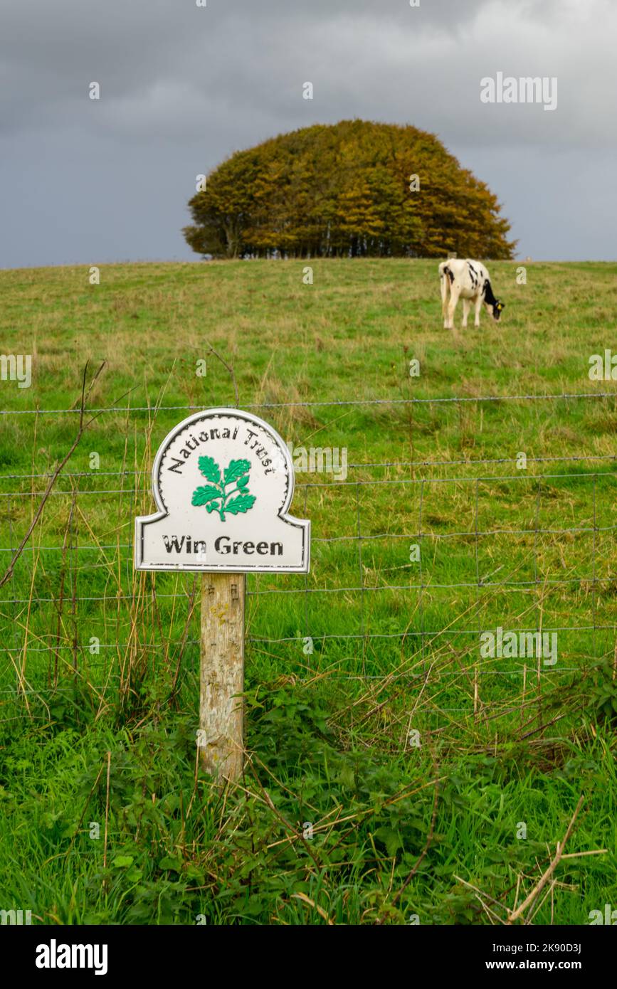 Vinci Green Down, gestito dal National Trust (ingresso libero), il punto più alto di Cranborne Chase, Wiltshire, Inghilterra, Regno Unito Foto Stock