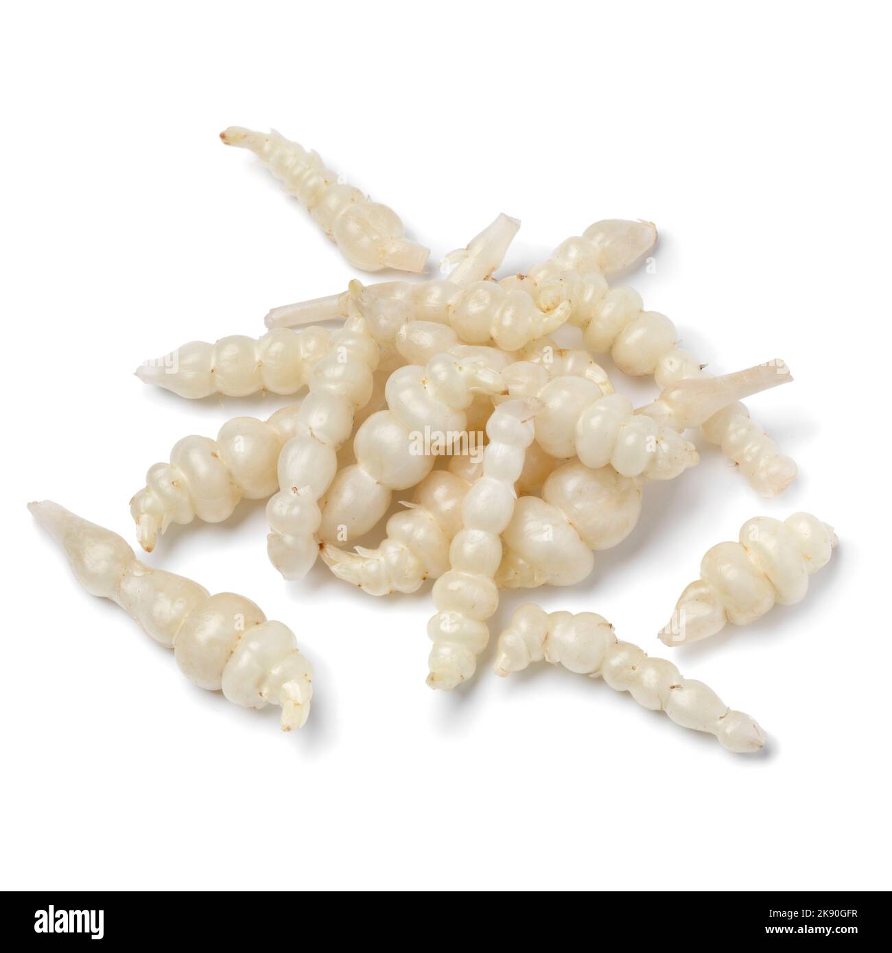 Mucchio di fresco bianco crudo sano giapponese carciofo tubero primo piano isolato su sfondo bianco Foto Stock