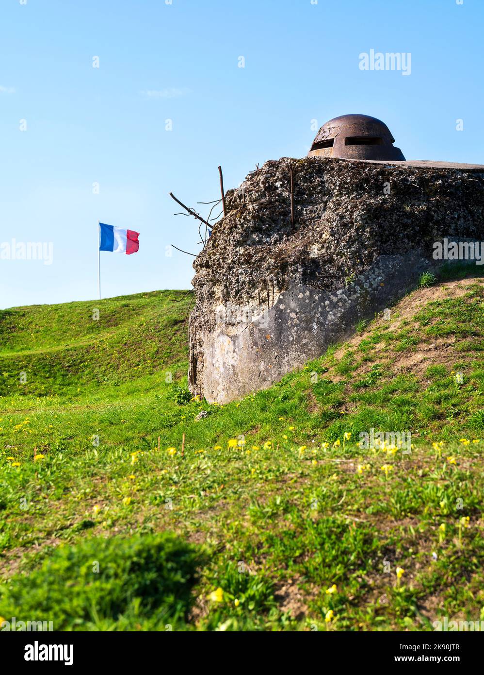 Francia, Mosa, Douaumont, il forte militare di Douaumont, campo di battaglia dopo il bombardamento. Foto Stock