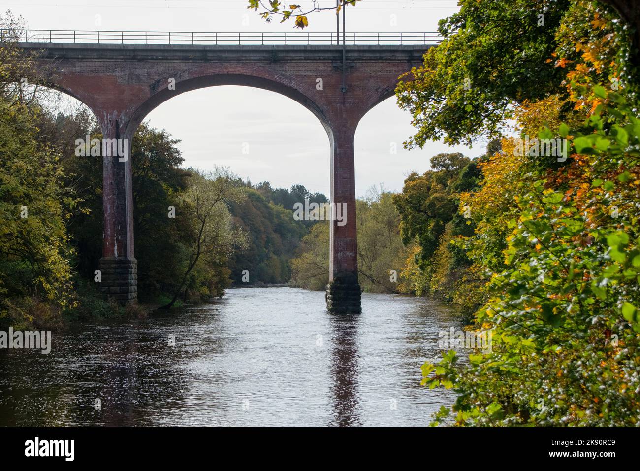 Croxdale Viadotto in autunno Foto Stock