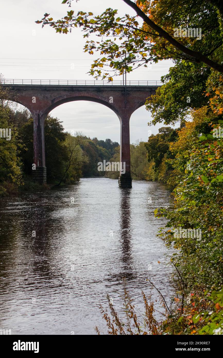 Croxdale Viadotto in autunno Foto Stock