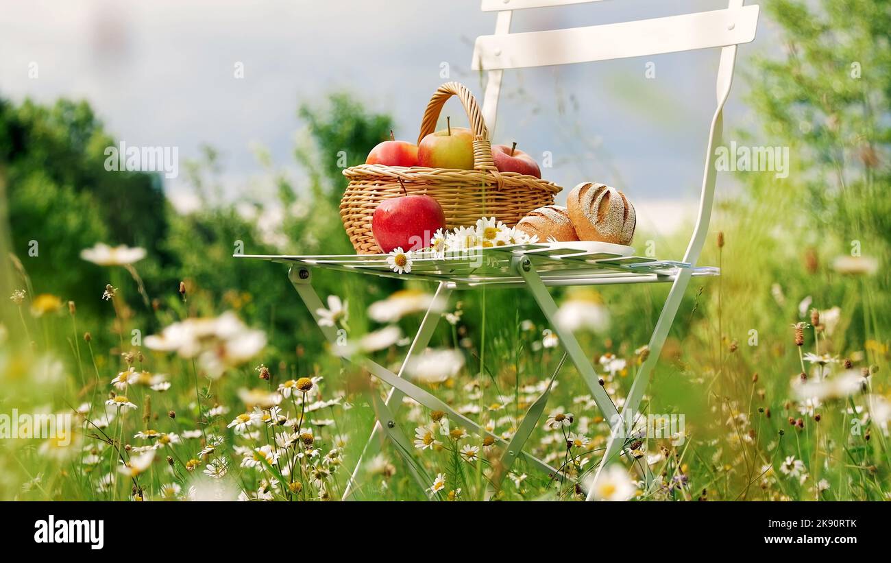 Al centro di un prato di camomilla, vicino ad un bosco, contro un cielo blu, si erge una sedia bianca, su di essa una composizione di un cesto con mele rosse e pane, e un bouquet di margherite. Foto di alta qualità Foto Stock