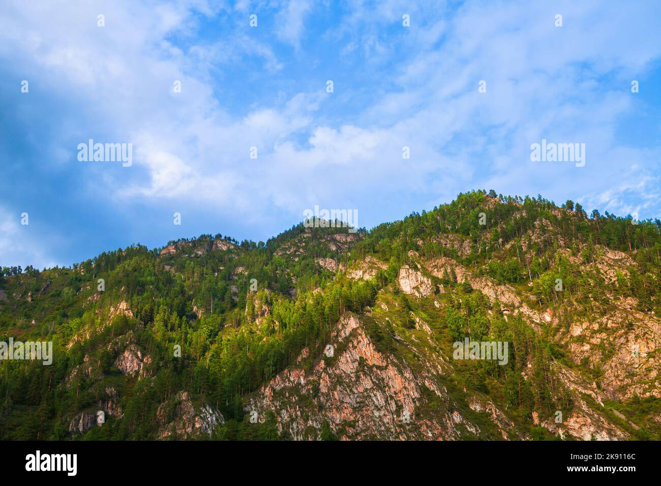 Alberi crescono su montagne rocciose della Siberia sotto il cielo nuvoloso, foto paesaggio di Altai Krai, Russia Foto Stock