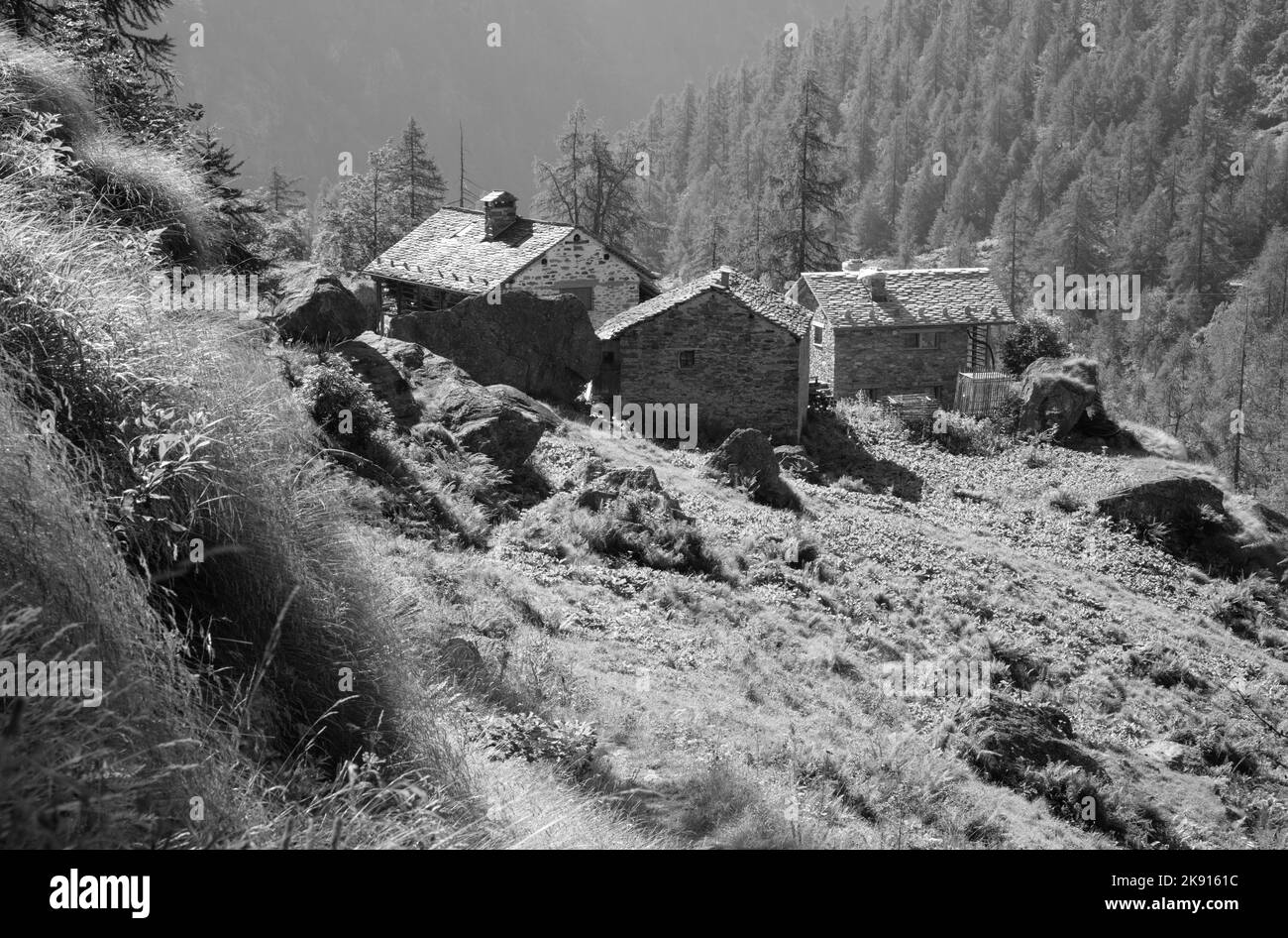 I vecchi chalet al mattino luce - Valsesia valle - Italia. Foto Stock