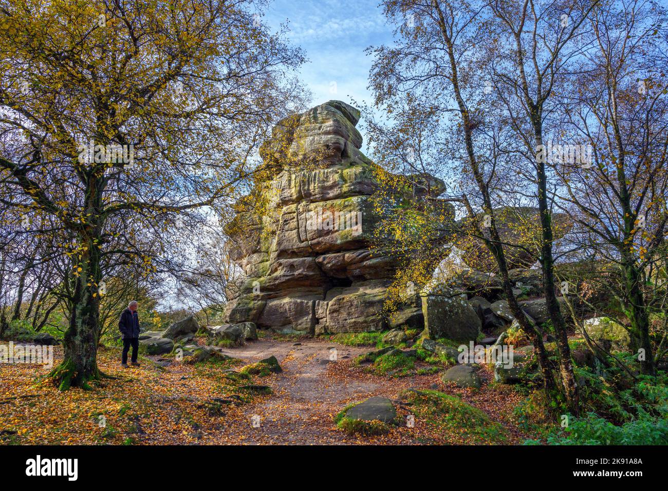 Brimham Rocks, vicino Harrogate, North Yorkshire, Inghilterra, Regno Unito Foto Stock