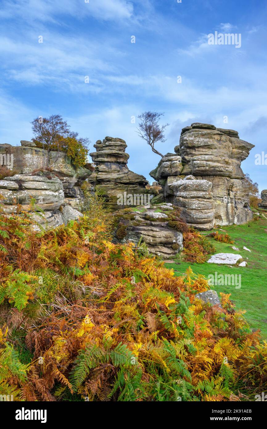 Brimham Rocks, vicino Harrogate, North Yorkshire, Inghilterra, Regno Unito Foto Stock