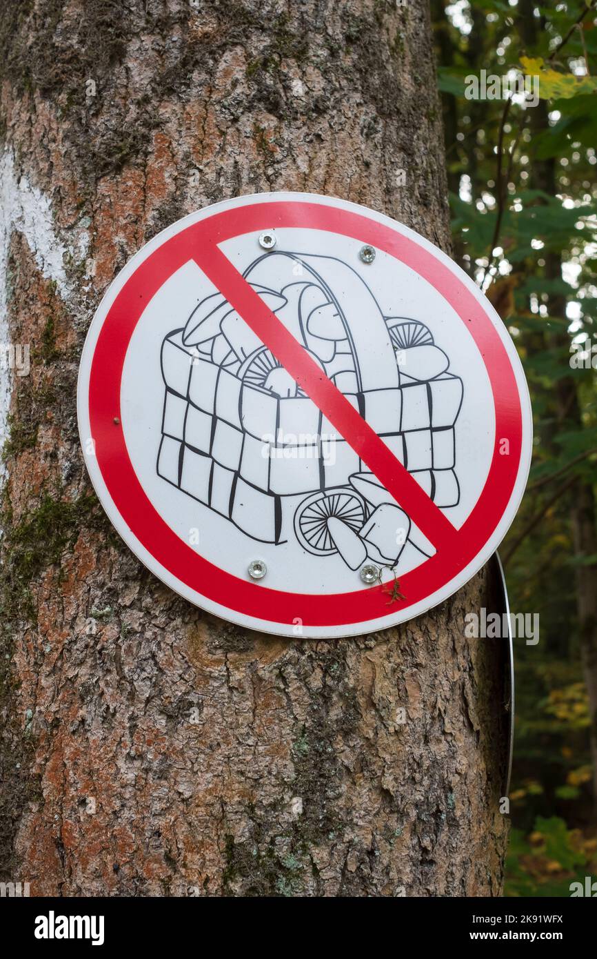 Cartello che vieta la raccolta di funghi nella riserva naturale Koenigsforst Foto Stock