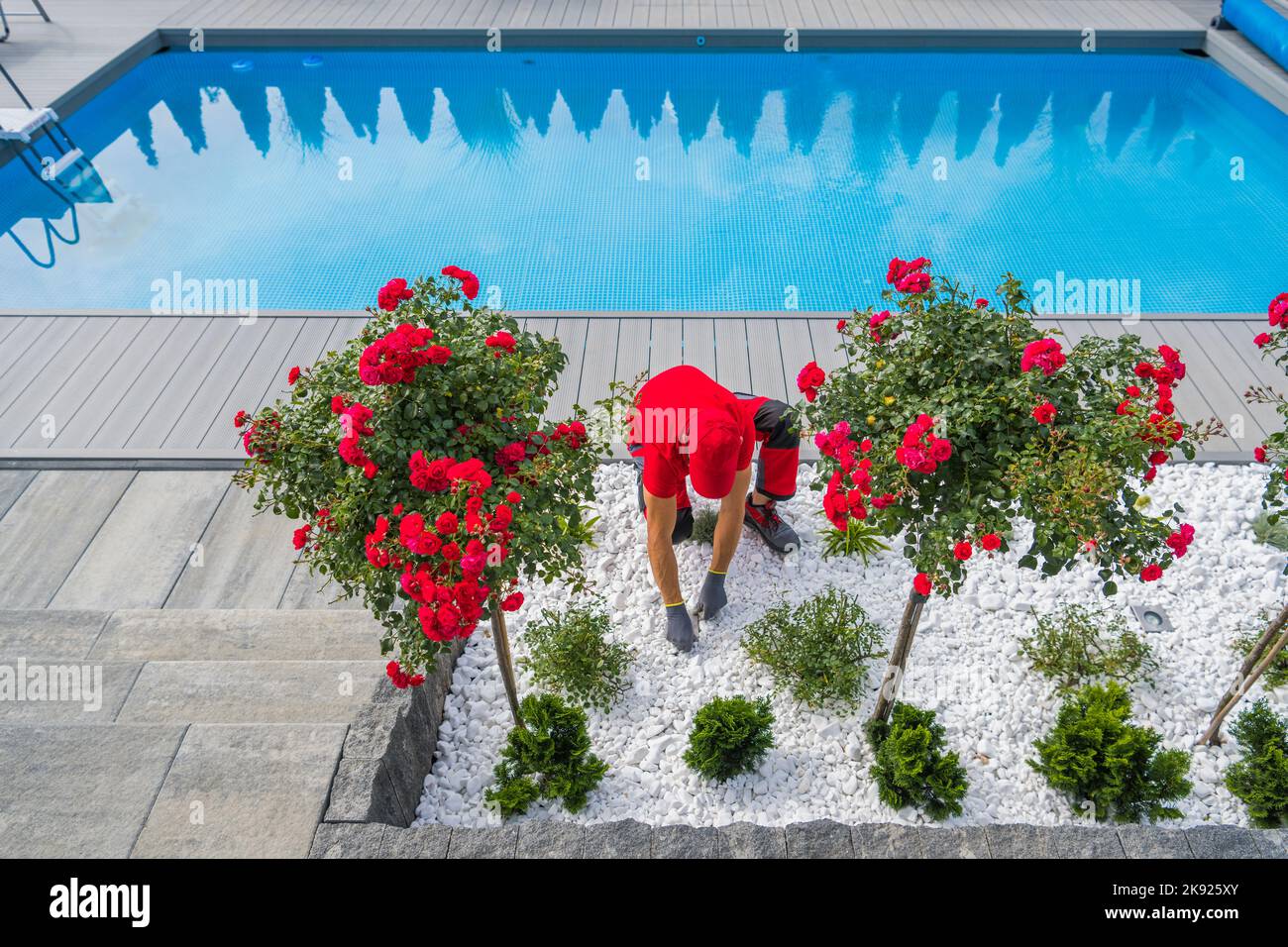 Paesaggista professionista che organizza il letto di fiori dietro la piscina al cortile del suo cliente che lo decorano con ciottoli da giardino bianco. Paesaggio Gard Foto Stock