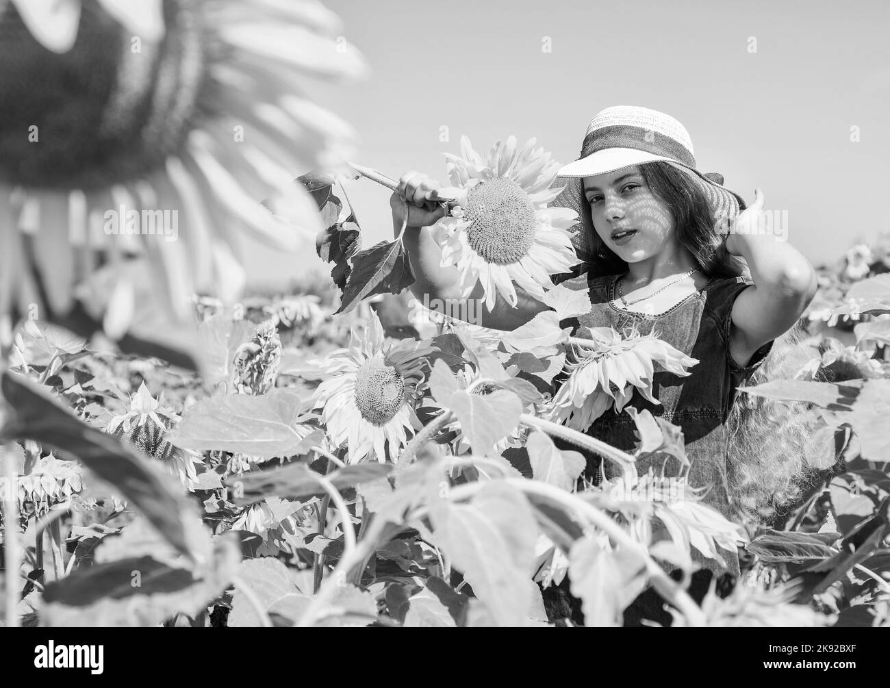 Buona pianta. Felicità dell'infanzia. Ritratto di bambino felice con girasole bello. Bambino allegro in cappello di paglia tra fiori gialli. Ragazza piccola dentro Foto Stock