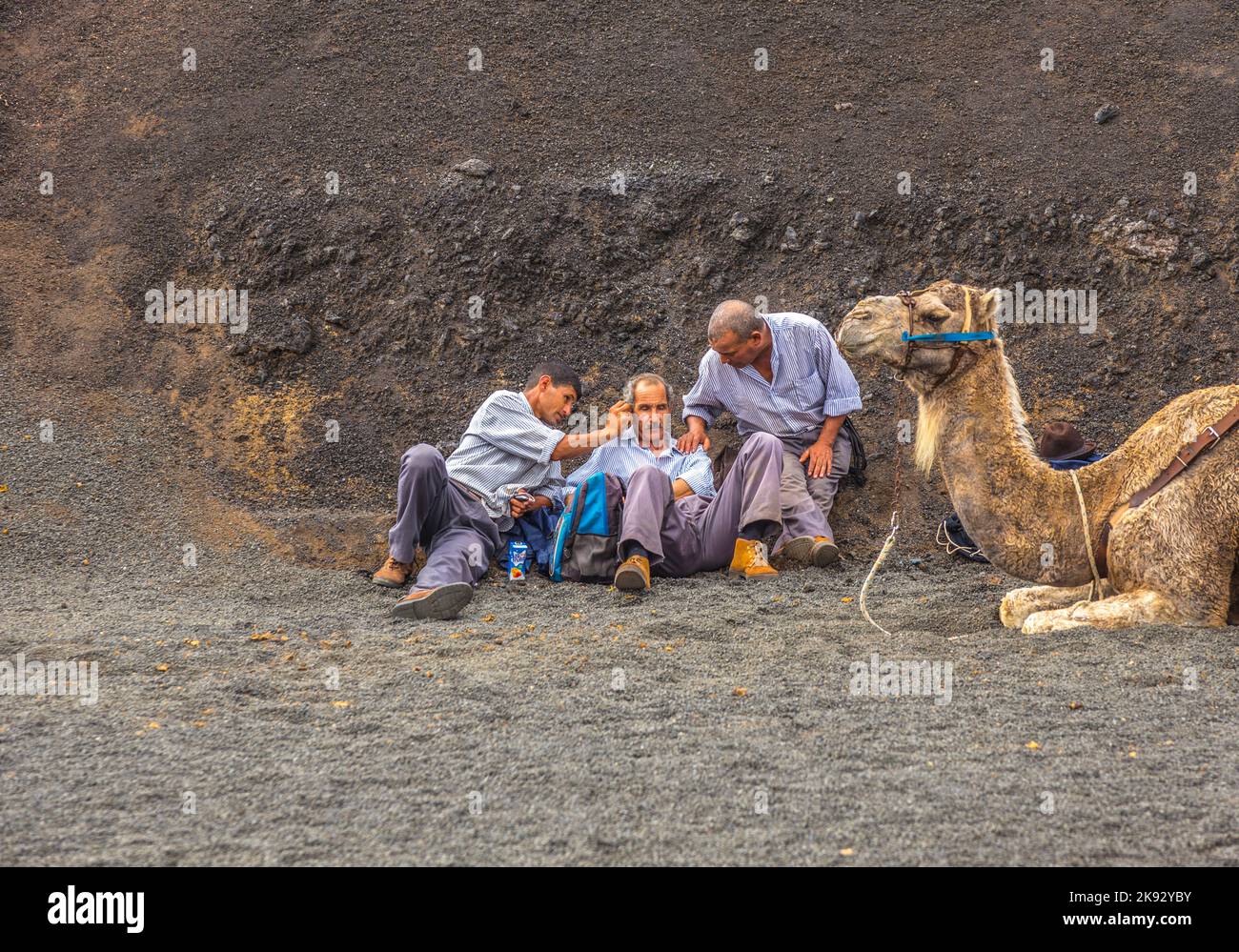 PARCO NAZIONALE DI TIMANFAYA, LANZAROTE, SPAGNA - 12 NOVEMBRE 2014: I motociclisti a dorso di cammello aspettano i turisti guidati dalla gente del posto attraverso il famoso Timanfaya Nat Foto Stock