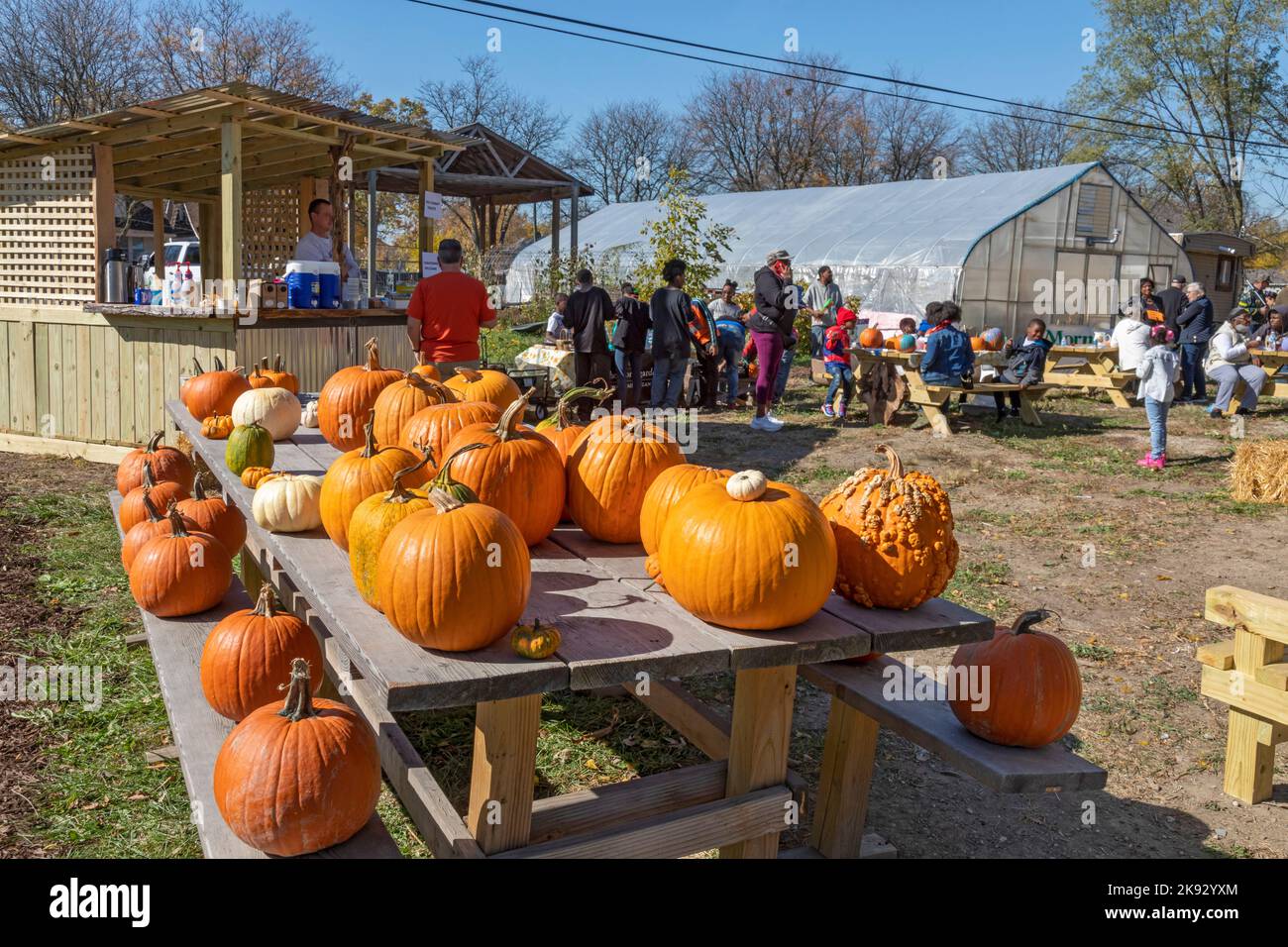 Detroit, Michigan - un festival autunnale nel quartiere Morningside di Detroit. L'evento è stato organizzato dal Motor City Grounds Crew. Foto Stock