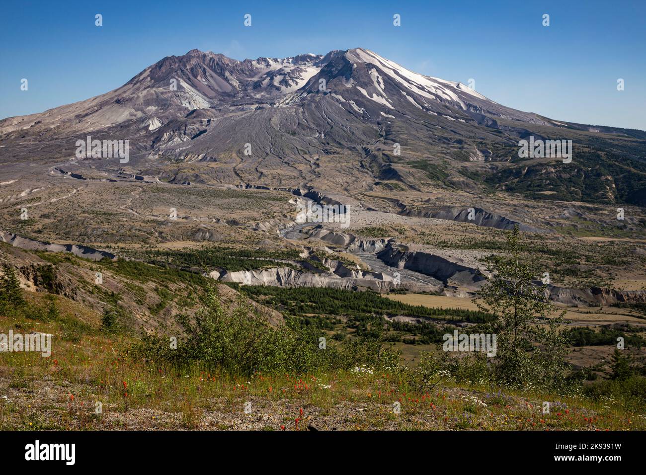 WA22530-00...WASHINGTON - North Fork Toutle River che corre sotto il cratere con la sua cupola di lava e la zona di breccia del Monte St. Helens. Foto Stock