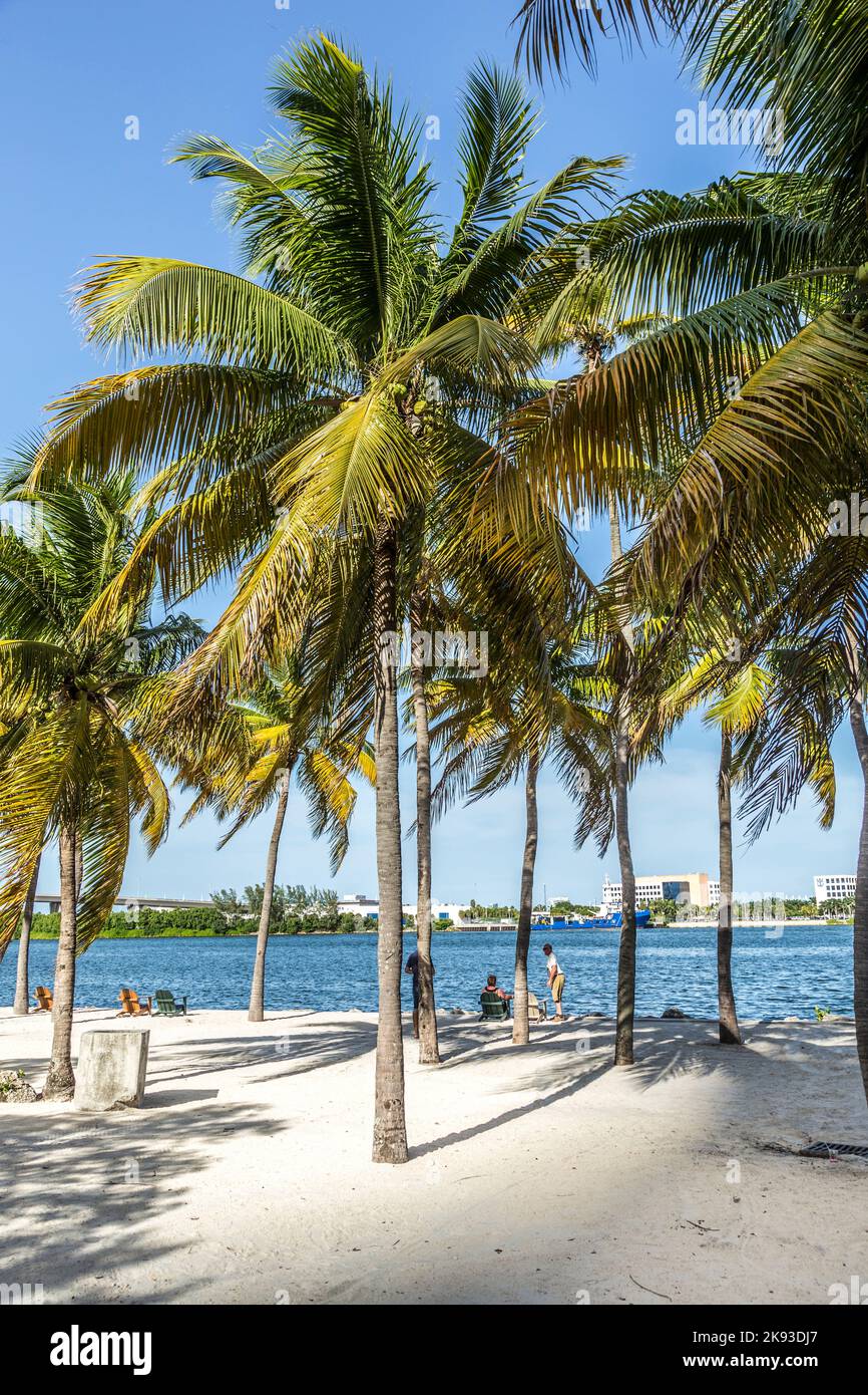 MIAMI, USA - 19 AGOSTO 2014 : le persone si rilassano sulla spiaggia del centro sotto le palme e guardano il porto di Miami con container e gru a Miami, USA. Foto Stock