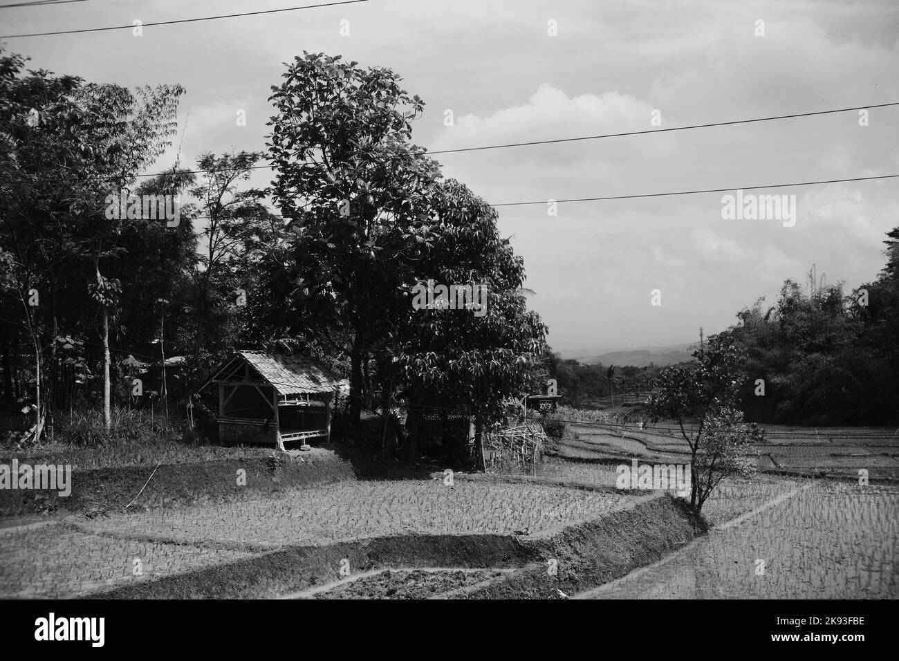 Foto in bianco e nero, Foto monocromatica di una capanna sul bordo di un risaie nella zona di Cicalengka - Indonesia Foto Stock