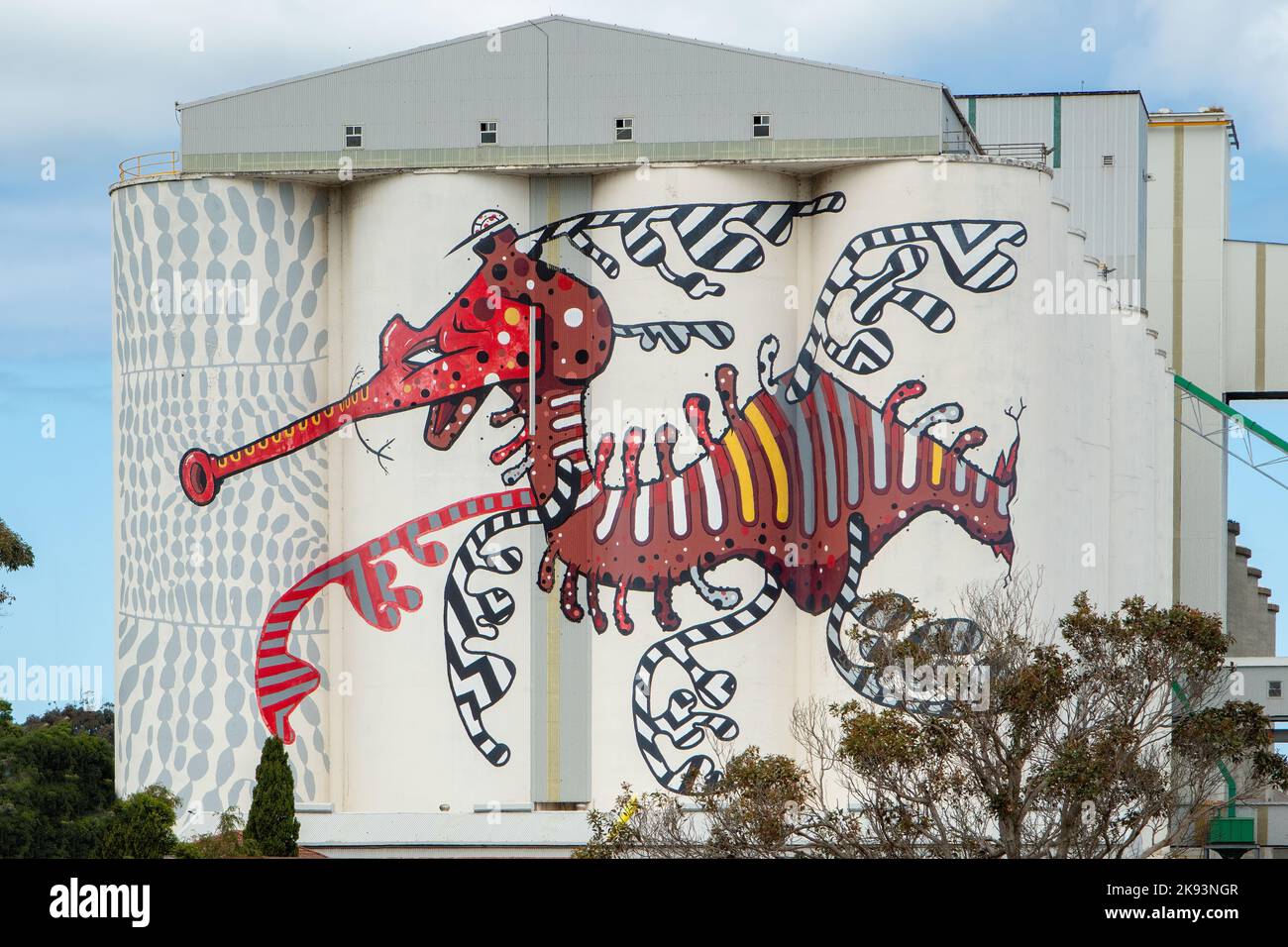 Red Dragon Silo Art, Albany, WA, Australia Foto Stock