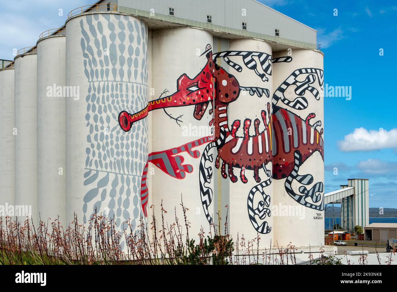 Red Dragon Silo Art, Albany, WA, Australia Foto Stock