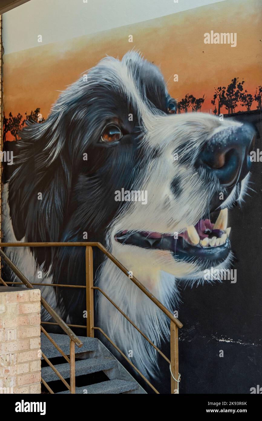 Street Art, Margaret River, Washington, Australia Foto Stock