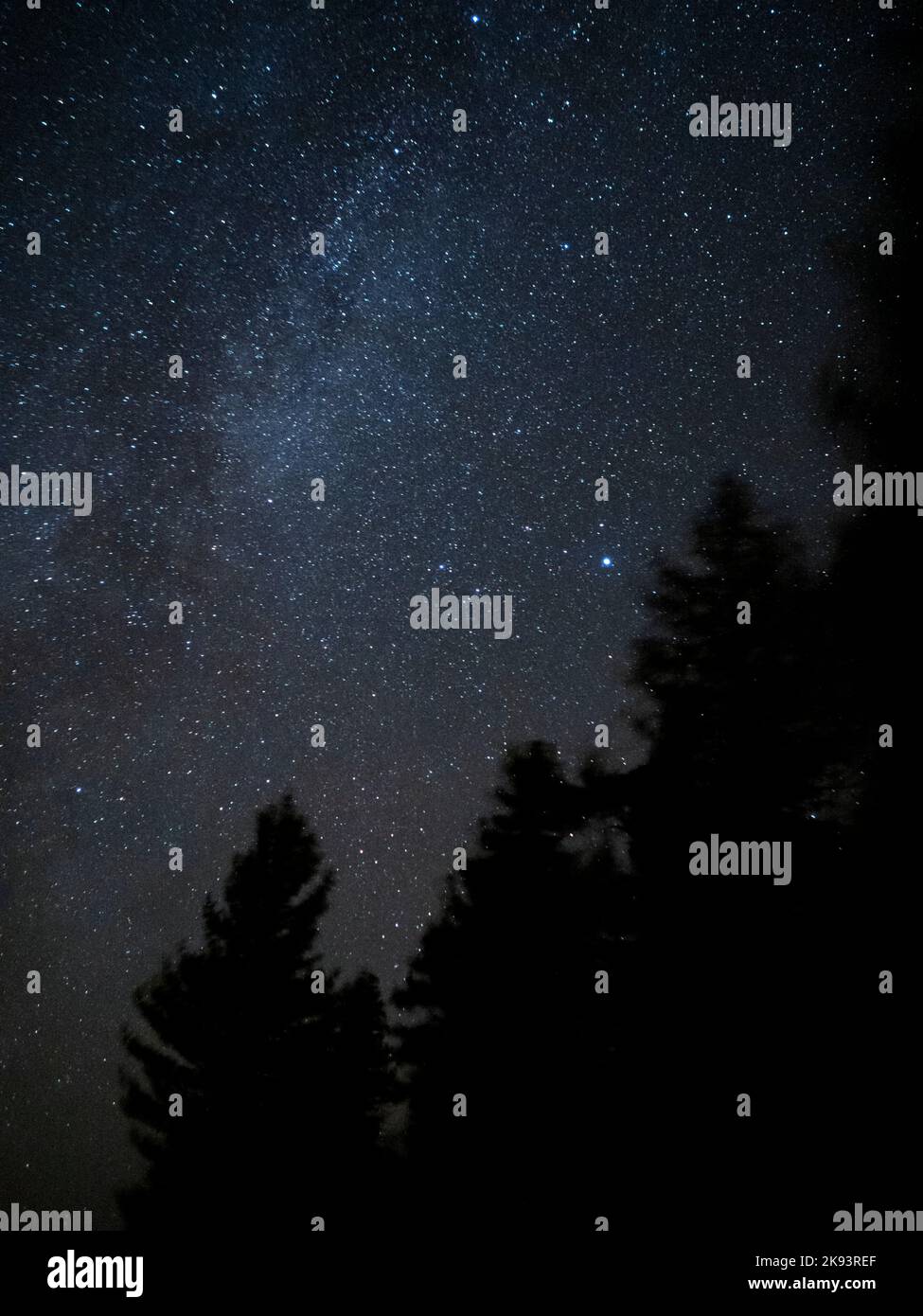 Cielo notturno pieno di stelle a Laurentides, Quebec Canada Foto Stock