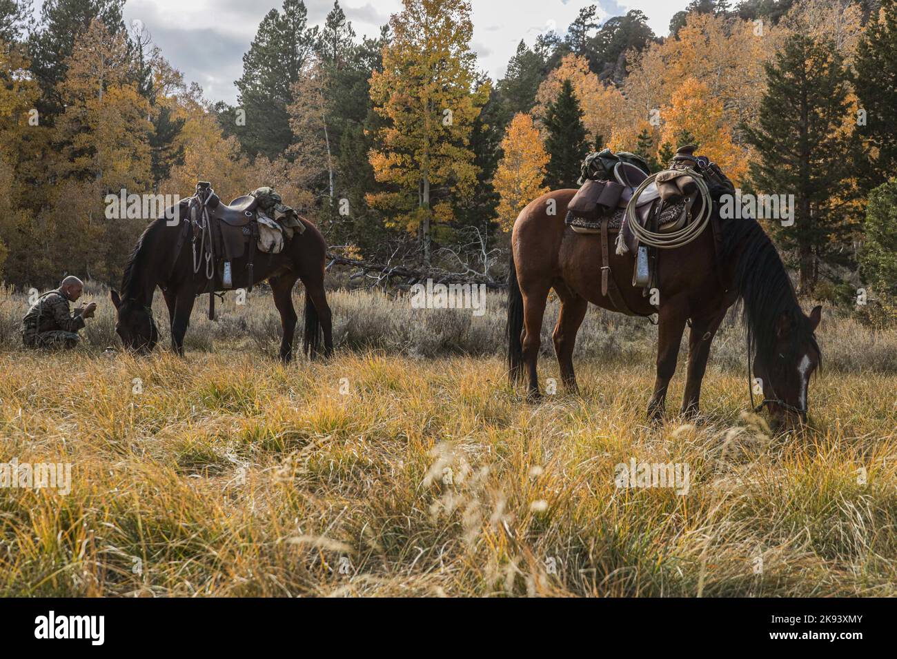 Bridgeport, California, Stati Uniti. 8th Ott 2022. U.S. Marine staff Sgt. Ryan Bartolo, un istruttore di equitazione con Unit Training Section, Mountain Warfare Training Center, mangia un pasto mentre osservi i cavalli marini statunitensi Easy e Eisenhower durante l'allenamento di montagna 1-23 al Marine Corps Mountain Warfare Training Center Bridgeport, California, 8 ottobre 2022. Durante le evoluzioni dell'allenamento presso la MWTC, cavalli e muli vengono utilizzati per il trasporto di forniture per l'addestramento di Marines in località remote. Bartolo è un nativo di Virginia Beach, Virginia. (Credit Image: © U.S. Marine/ZUMA Press Wire Ser Foto Stock