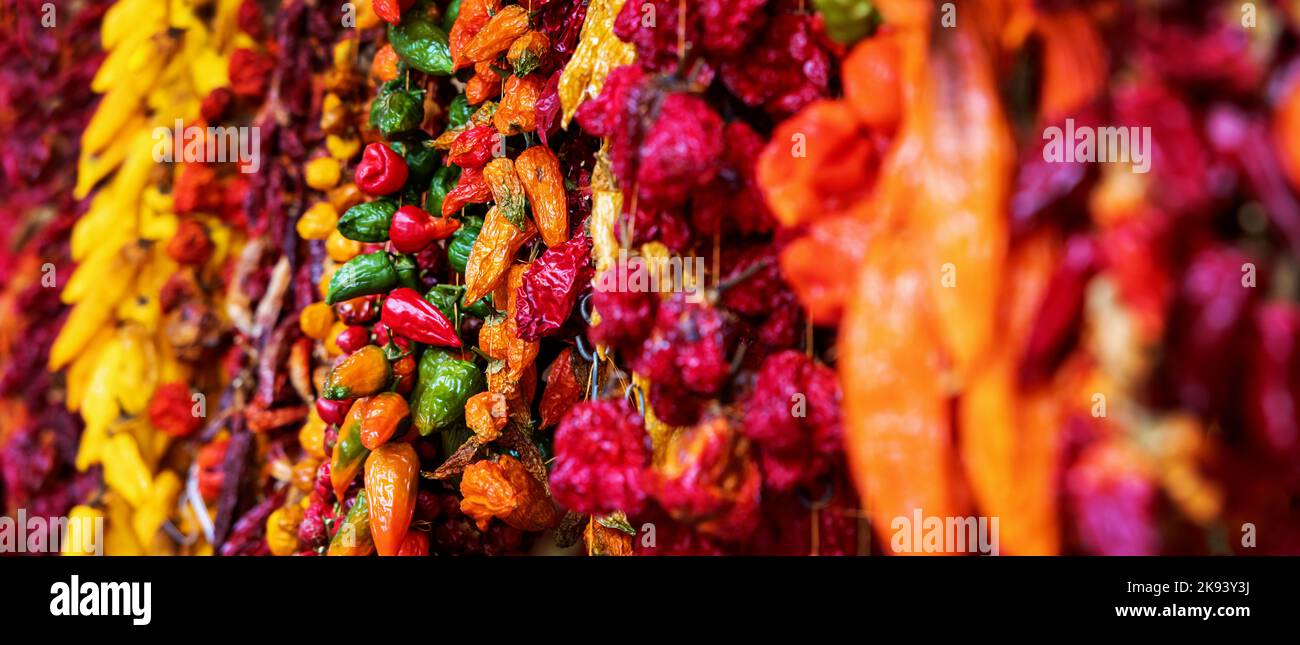 peperoni secchi colorati appesi al mercato delle spezie. banner con spazio per le copie Foto Stock