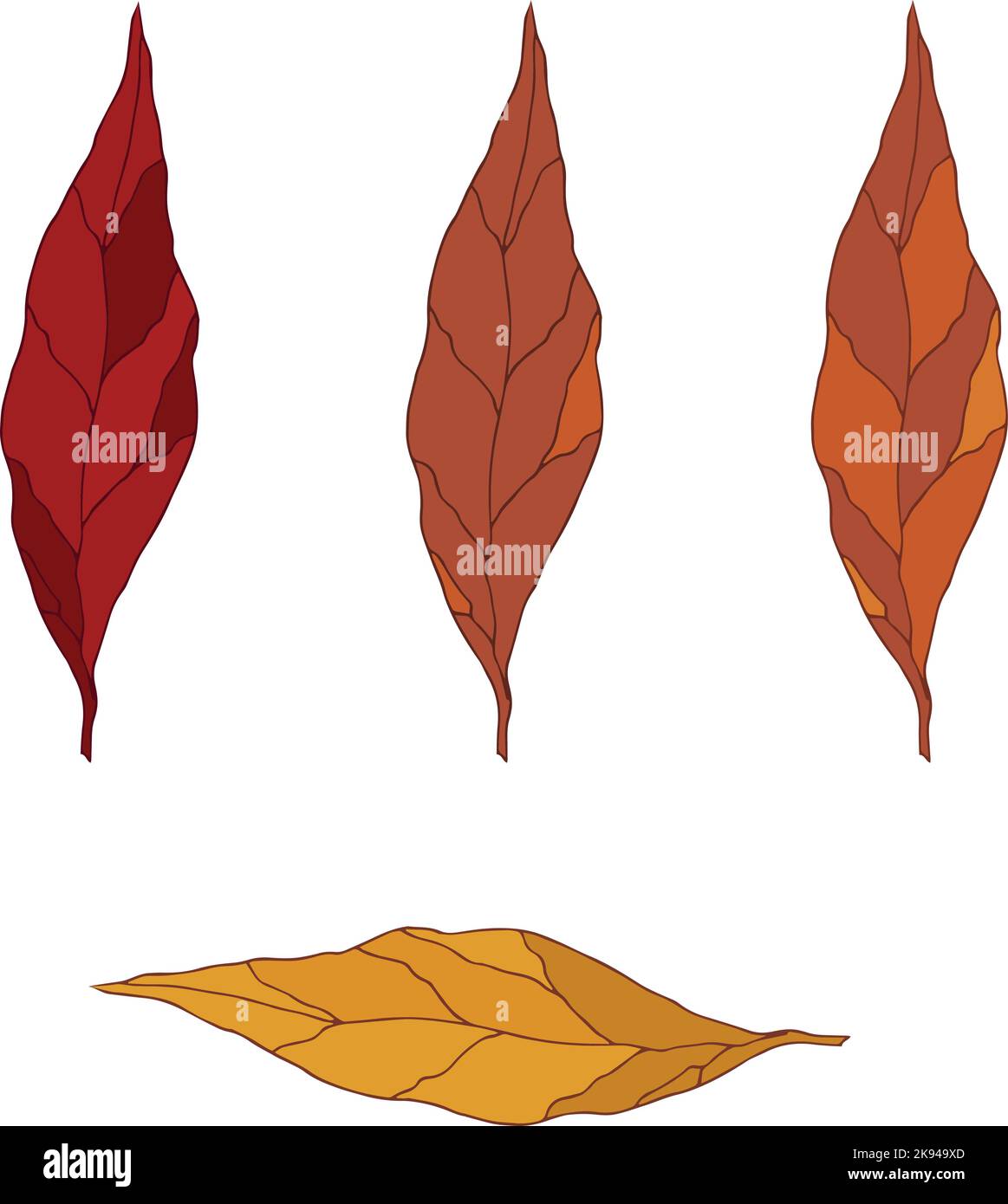 Foglie disegnate a mano in diversi colori autunnali. Oggetti isolati. Grafica vettoriale Illustrazione Vettoriale