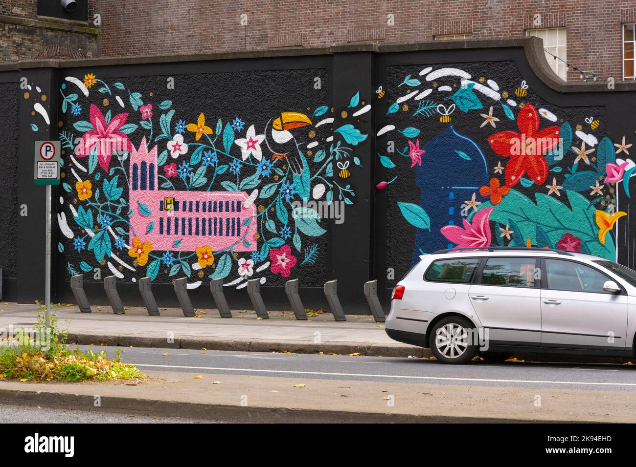 Irlanda Eire Dublino Street art pittura moderna contemporanea graffiti murali di scena fantasiosa cattedrale fiori api toucan muro marciapiede marciapiede Foto Stock