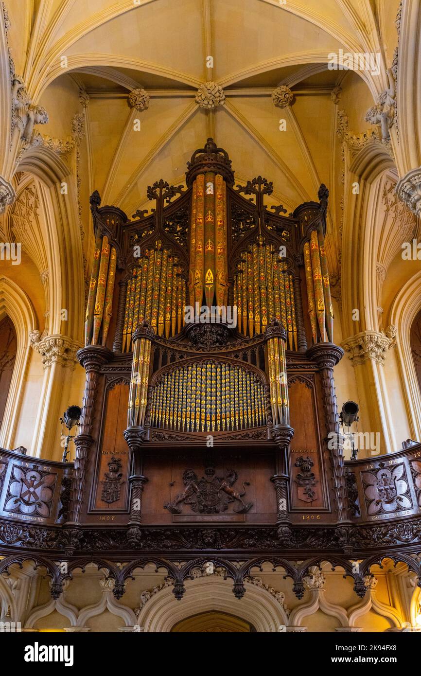 Irlanda Eire Dublin Dame Street Dublin Castle Chapel Royal costruito 1814 Gothic Revival da Francis Johnson come Anglican Chapel of Viceroy organo caso Foto Stock