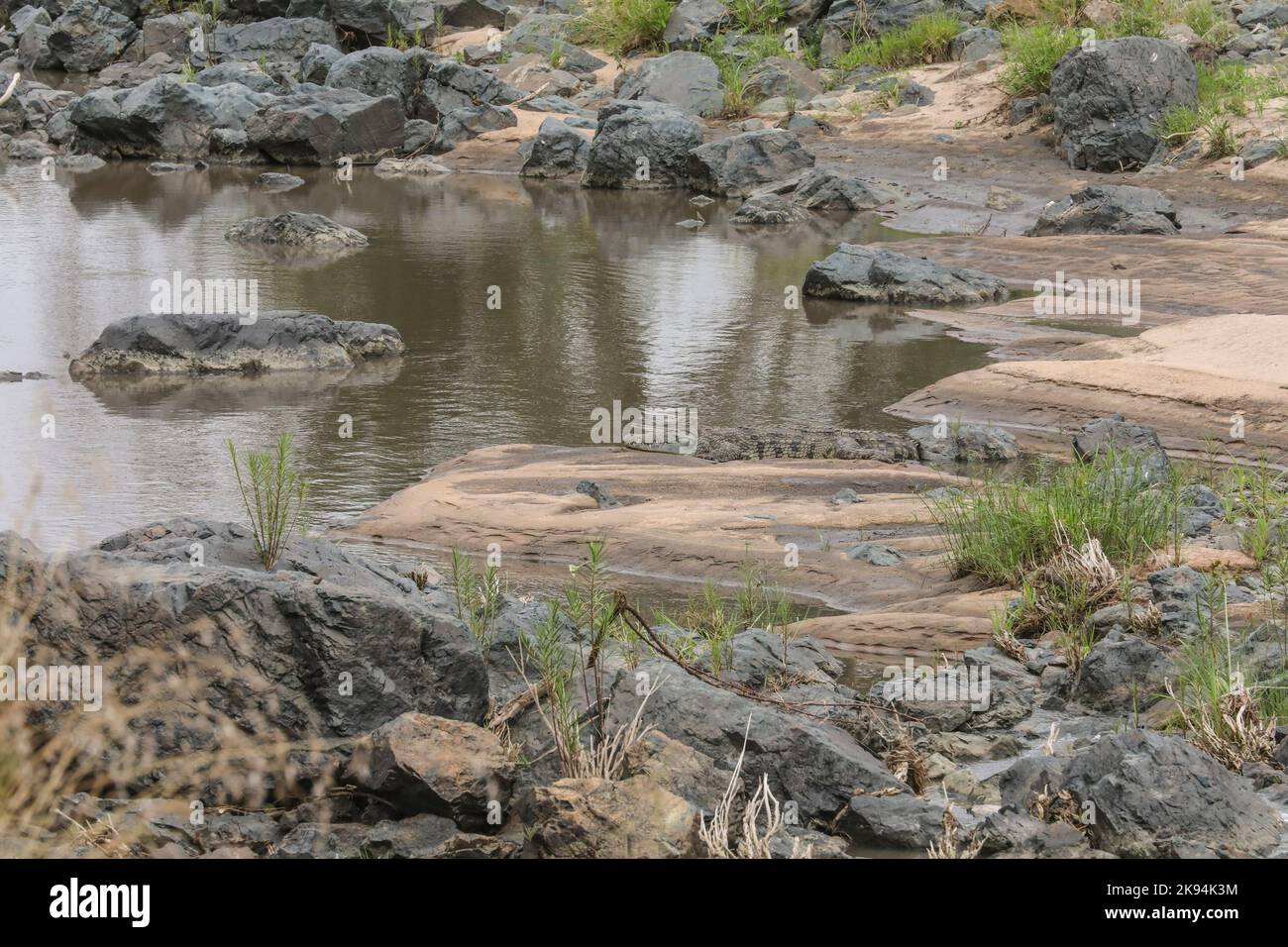 GRUMETI GAME RESERVE TANZANIA Foto Stock