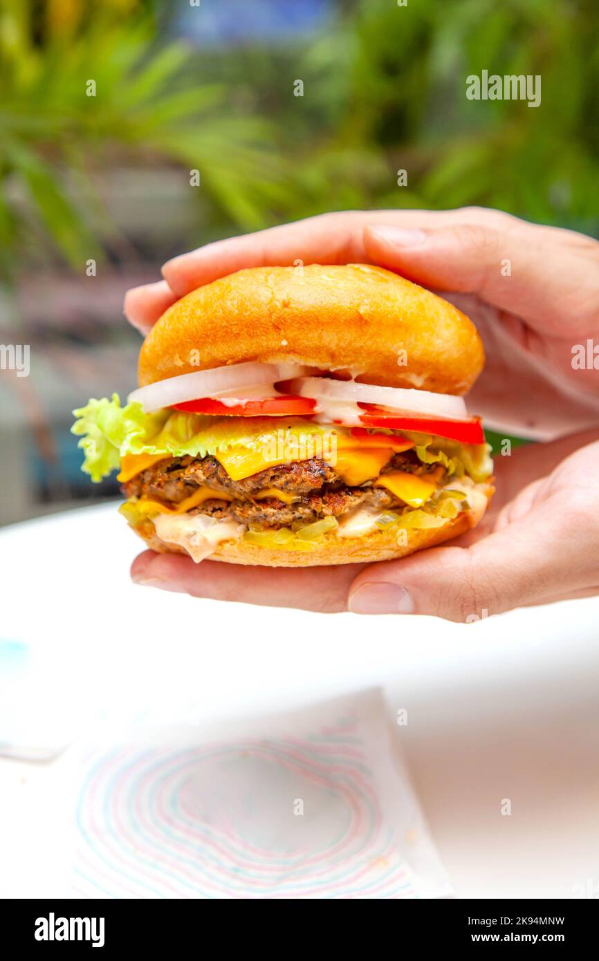 Mani circa per sollevare un hamburger di formaggio fuso queso con sfondo verde lussureggiante all'interno di un caffè. Foto Stock