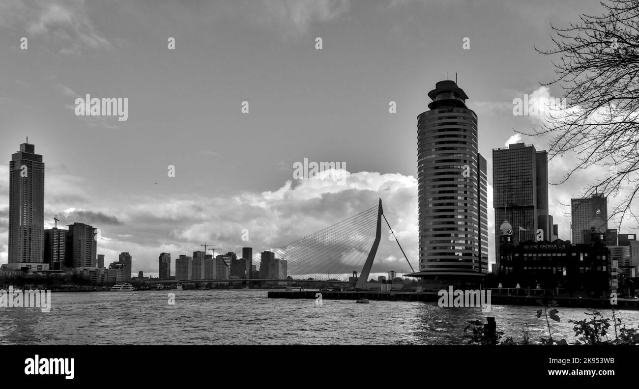 Un'immagine in scala di grigi del ponte Erasmus con gli edifici. Rotterdam, Paesi Bassi. Foto Stock