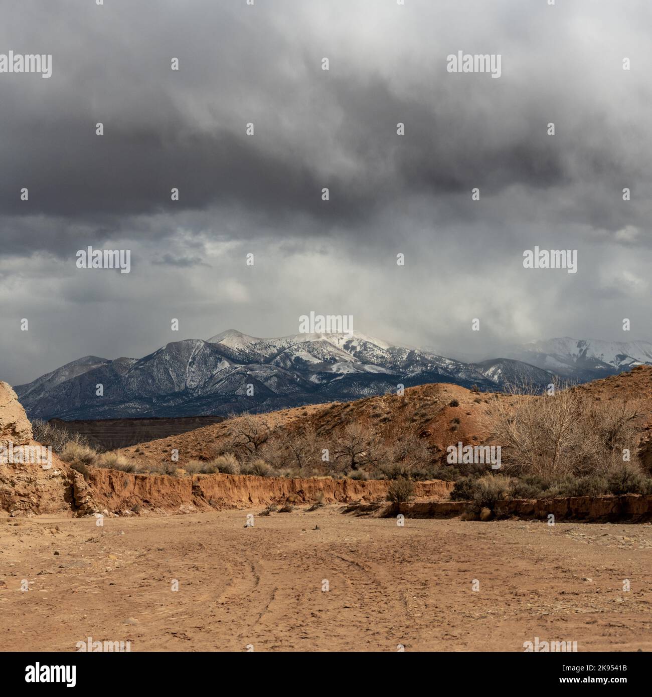 Snow Storm si trova sopra le Henry Mountains da Cottonwood Wash sotto di esso Foto Stock