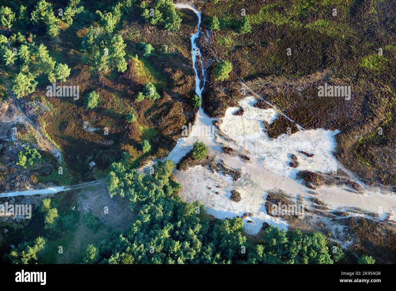 Brughiera con dune di sabbia, vista aerea, Belgio, Anversa, Kalmthout, Kalmthoutse Heide Foto Stock