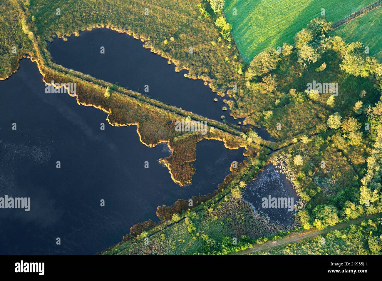 Veduta aerea della riserva naturale di Stappersven-Kalmthoutse Heide, Belgio, Anversa, Kalmthout, Kalmthoutse Heide Foto Stock