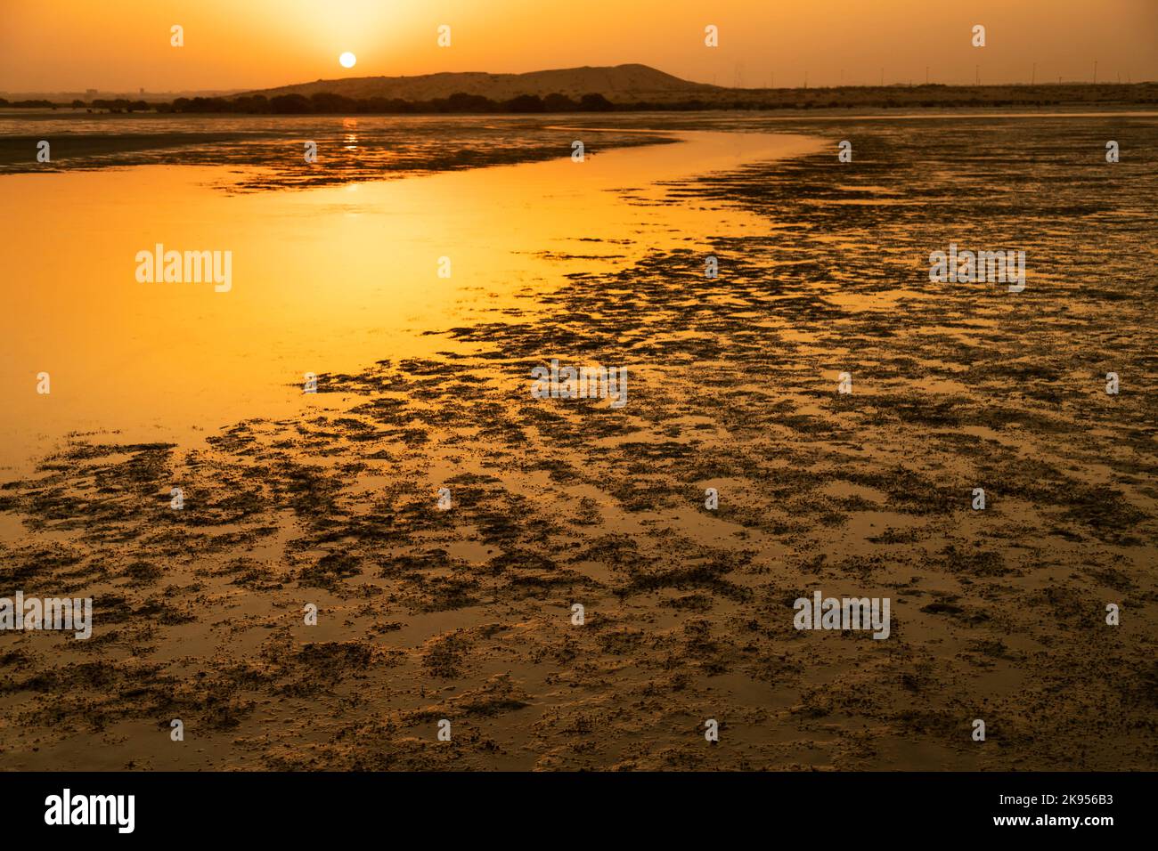 Bellissima ora d'oro e alba dalle spiagge degli Emirati Arabi Uniti Foto Stock