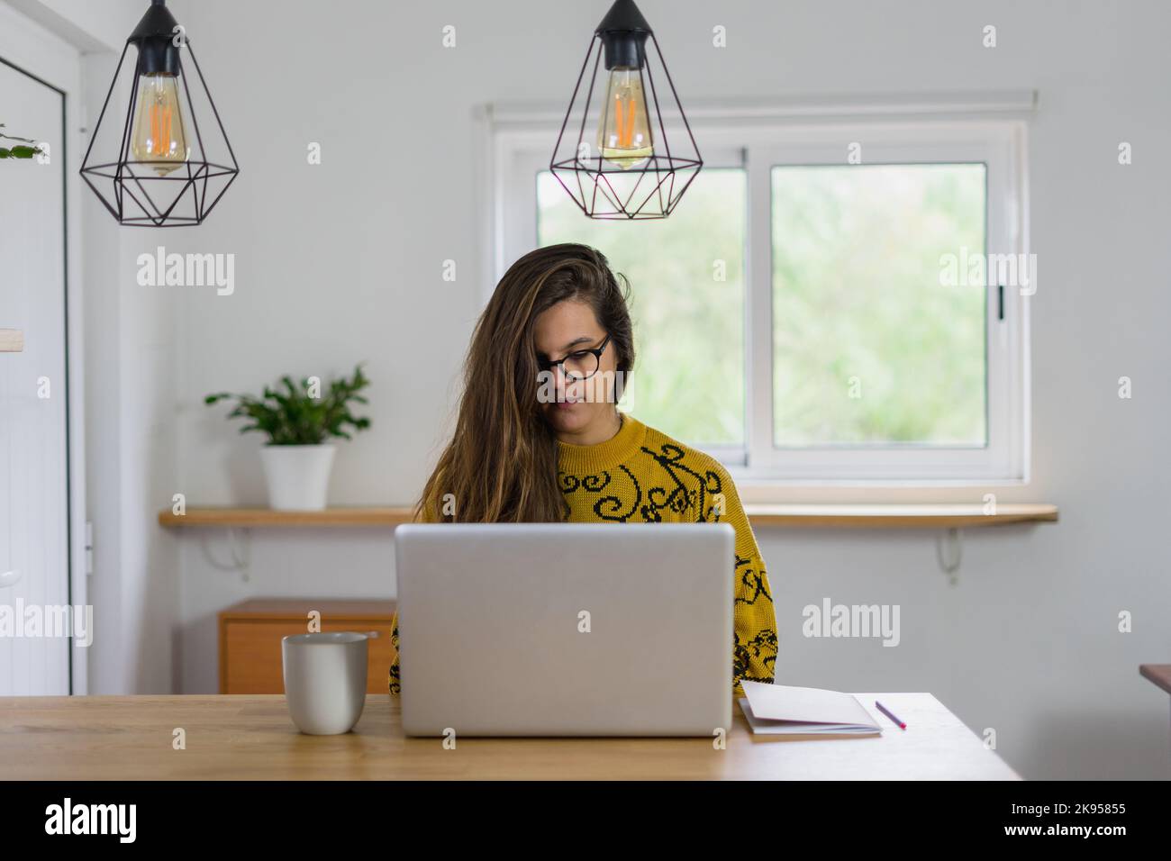 Donna che lavora sul suo notebook visto dalla parte anteriore Foto Stock