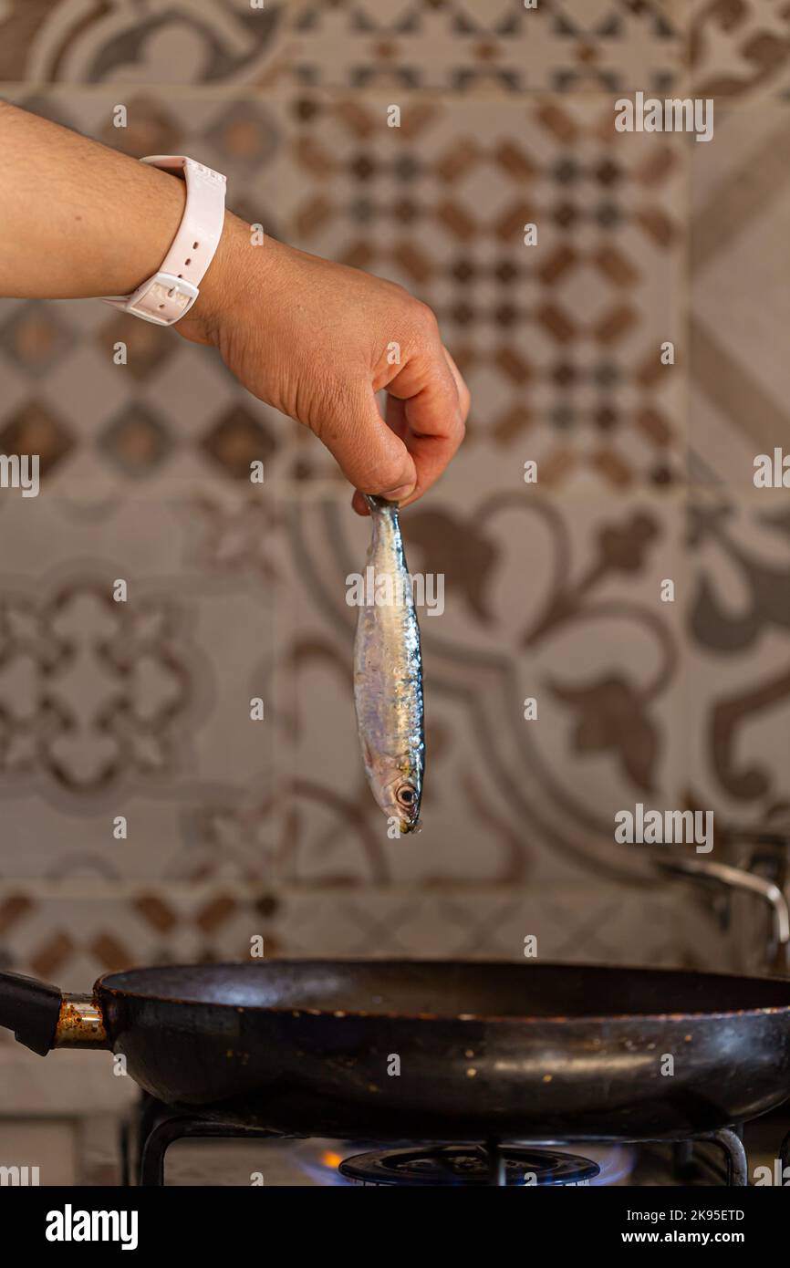 Mano che tiene una sardina dalla coda Foto Stock