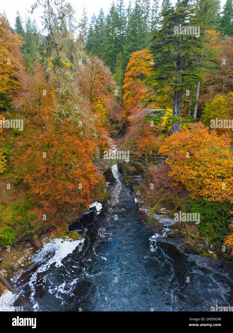 Vista aerea dei colori autunnali che circondano le Black Linn Falls sul fiume Braan all'Hermitage di Perth e Kinross, Scozia, Regno Unito Foto Stock