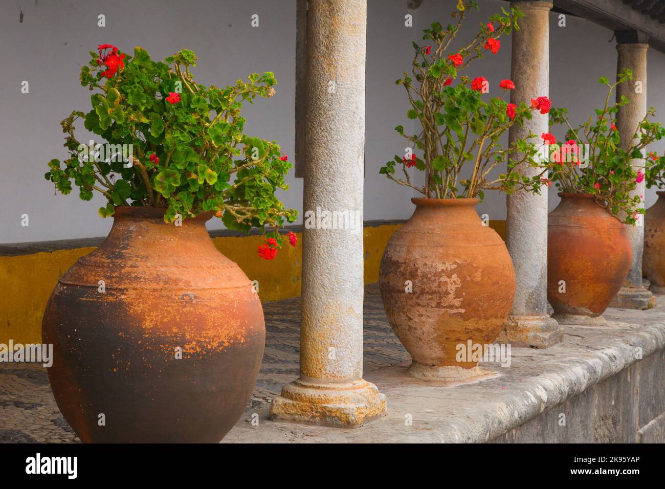 Portogallo, Obidos, vasi di fiori, Foto Stock