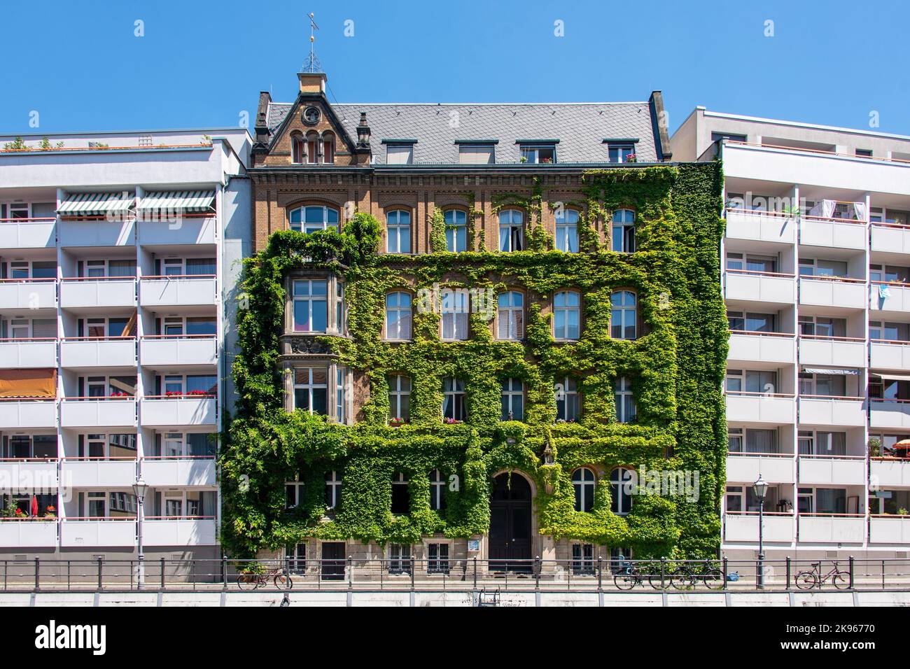 Facciata di un edificio coperto di edera. Piante che crescono sulla facciata. Ecologia e vita verde in città, ambiente urbano, concetto di vita sostenibile. Foto Stock